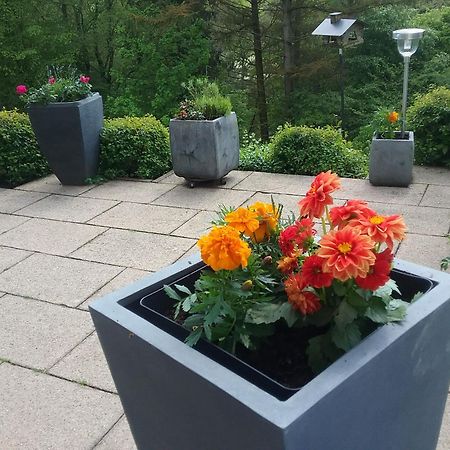 Apartamento Perlenbachtal Monschau Exterior foto