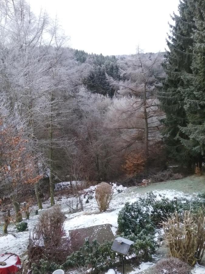 Apartamento Perlenbachtal Monschau Exterior foto