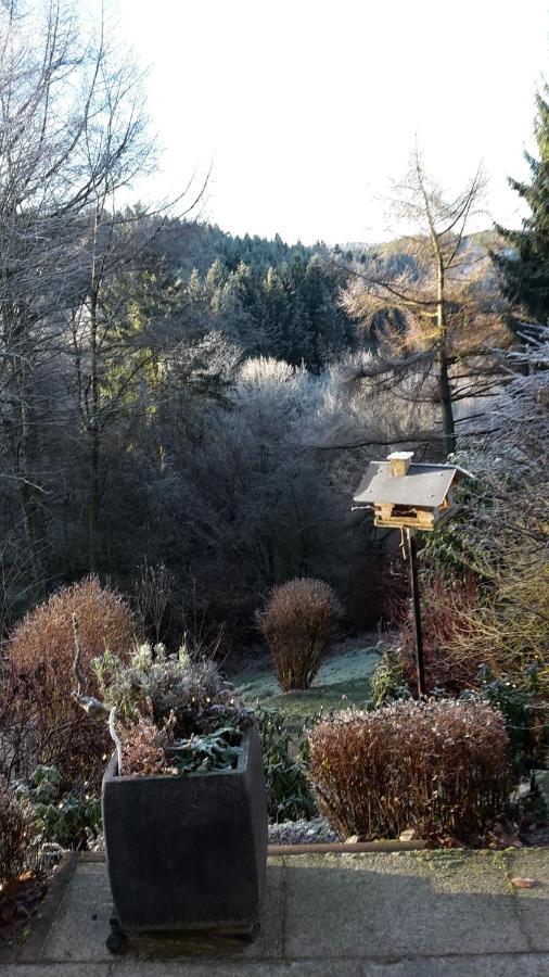 Apartamento Perlenbachtal Monschau Exterior foto