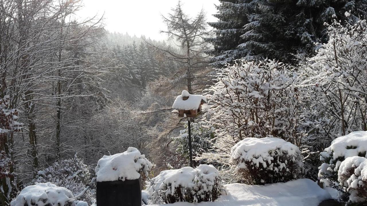 Apartamento Perlenbachtal Monschau Exterior foto