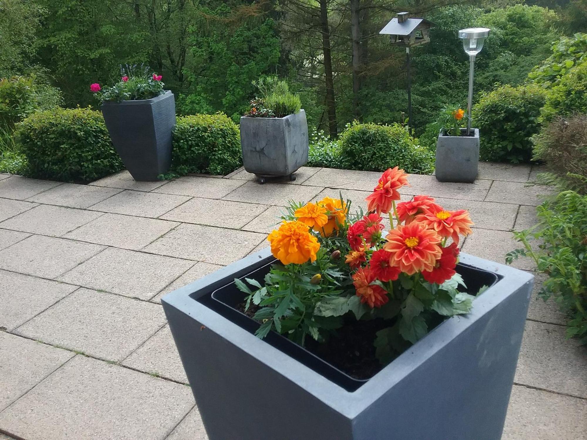 Apartamento Perlenbachtal Monschau Exterior foto
