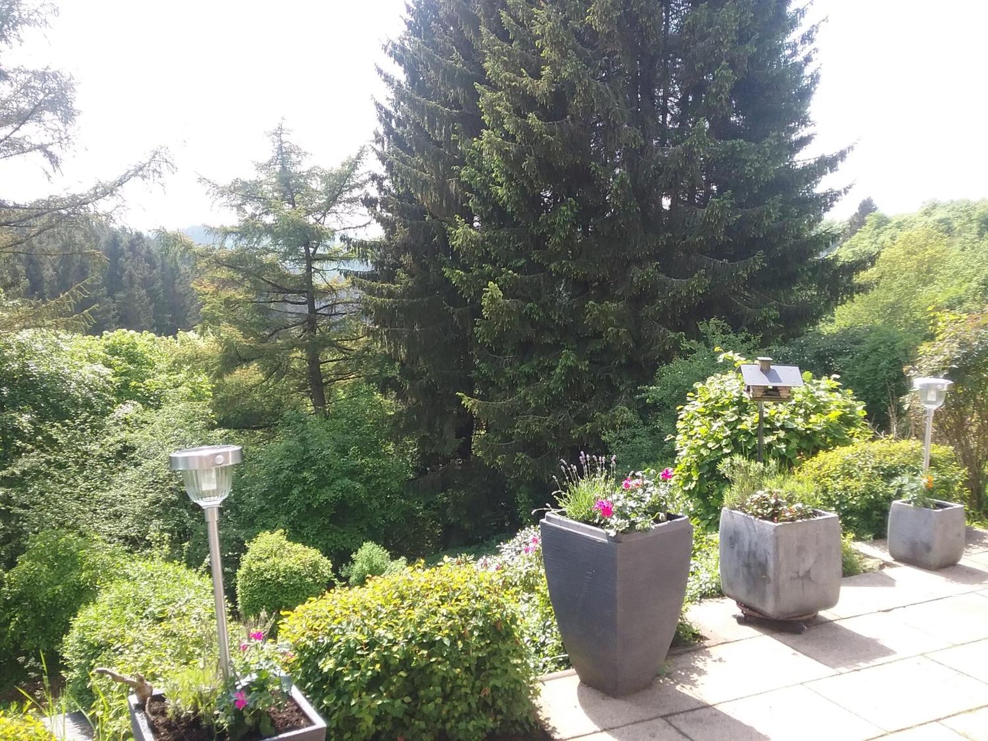Apartamento Perlenbachtal Monschau Exterior foto